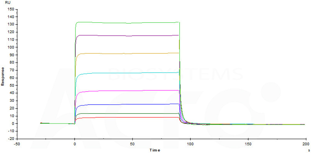 Fc gamma RIIIB / CD16b (NA1) SPR