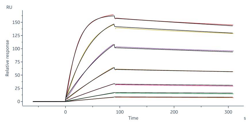 CD3 epsilon SPR