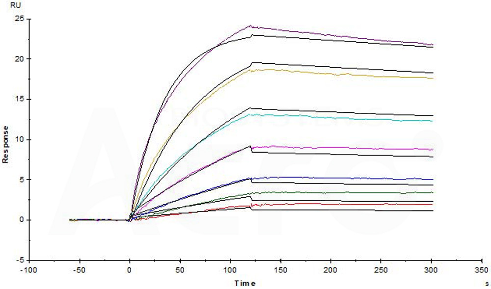 CD3E & CD3G SPR