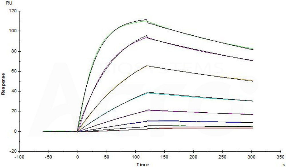 CD3E & CD3G SPR