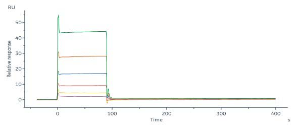 CD40 Ligand SPR