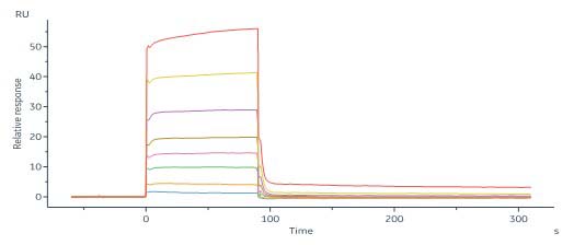 CD40 Ligand SPR