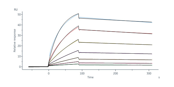 Rhesus macaque EpCAM / TROP1 Protein, His Tag