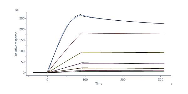 Erythropoietin SPR