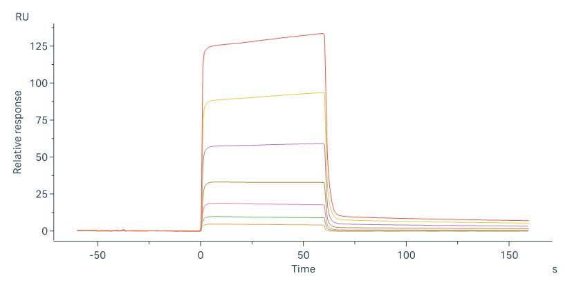 Galectin-1 SPR
