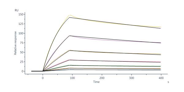 GMP Biotinylated Human DLL4 Protein, His,Avitag™