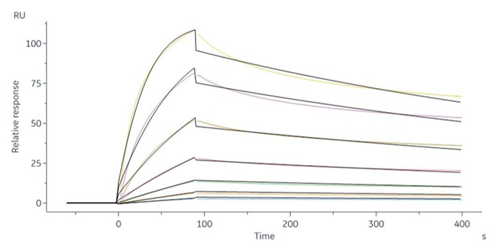 CytoPak GMP Human DLL4 Protein, Fc Tag (Flagship)