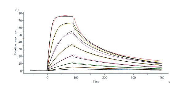 Glycoprotein N/Gn protein (SFTSV) SPR