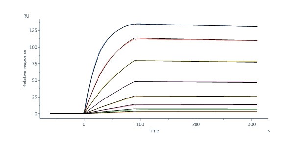 Glycoprotein N/Gn protein (SFTSV) SPR