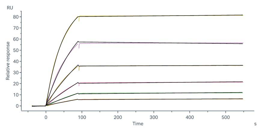 Hemagglutinin/HA (Influenza Virus) SPR