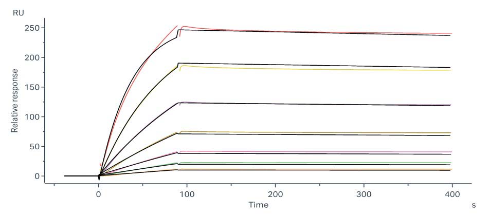 Hemagglutinin/HA (Influenza Virus) SPR