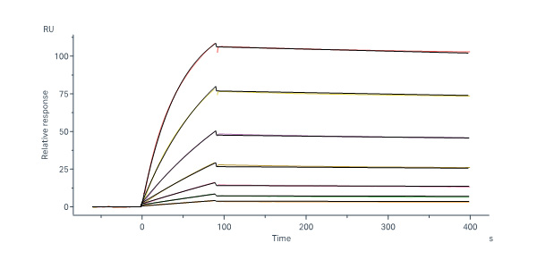 Human HLA-A*02:01&B2M&NY-ESO-1 (SLLMWITQV) Tetramer Protein (MA