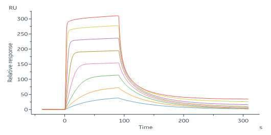 Mouse IFN-alpha / beta R2 Protein, His Tag