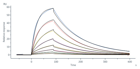 Biotinylated Human IFN-omega Protein, His,Avitag™ (MALS & SPR v