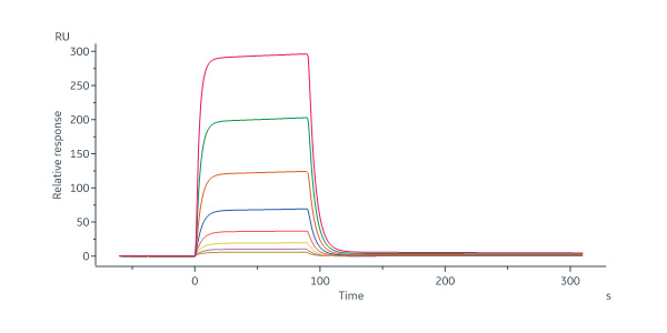 Biotinylated Human IFN-alpha 1 Protein, His,Avitag™ (HPLC & SPR