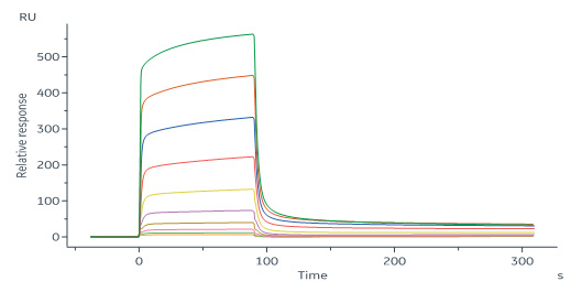 Mouse IFN-alpha 1 Protein, His Tag