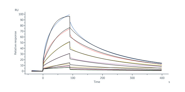 Human IGF-II Protein, His Tag (SPR verified)