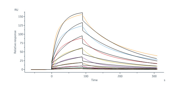 Biotinylated Human IGF-II Protein, Avitag™,Fc Tag