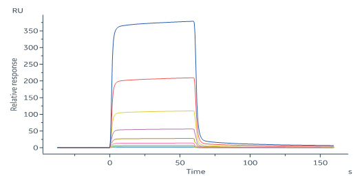 Human IGFBP-7 Protein, His Tag