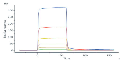 Biotinylated Human IGFBP-7 Protein, His,Avitag™ (MALS verified)