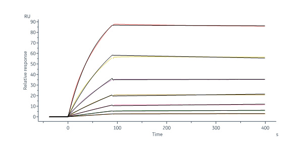 Cynomolgus IL-21 Protein, Fc Tag (MALS & SPR verified)