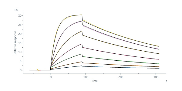 Human IL-22 R alpha 1 Protein, Fc Tag