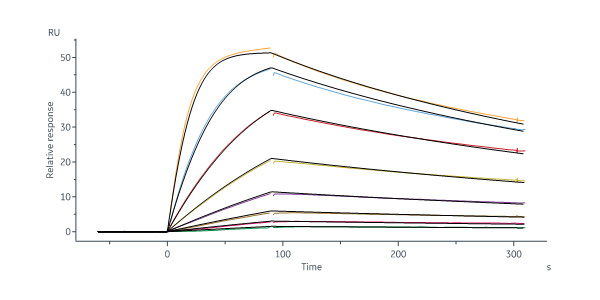 Human IL-18 R1 / CD218a Protein, Fc Tag (SPR verified)