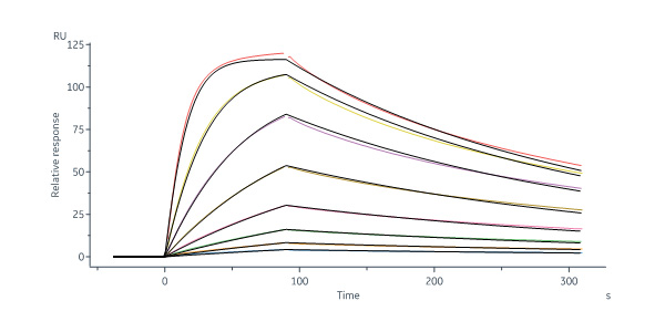 Biotinylated Human IL-18 R1 / CD218a Protein, His,Avitag™ (MALS