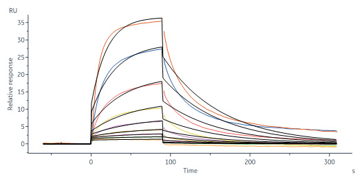 Biotinylated Human IL-13 R alpha 1 Protein, Fc,Avitag™ (SPR ver