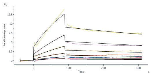 Biotinylated Human IL-18 R1 / CD218a Protein, Fc,Avitag™ (SPR &