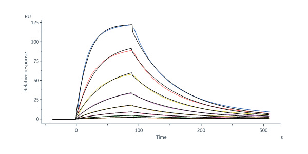 Mouse IL-22 R alpha 1 Protein, His Tag (MALS & SPR verified)