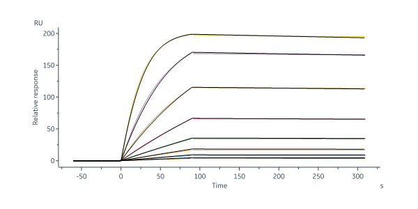 Biotinylated Human IL-22 Protein, His,Avitag™