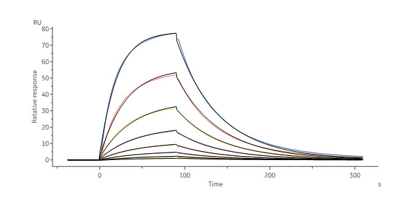 Rat IL-22 Protein, His Tag (MALS & SPR verified)