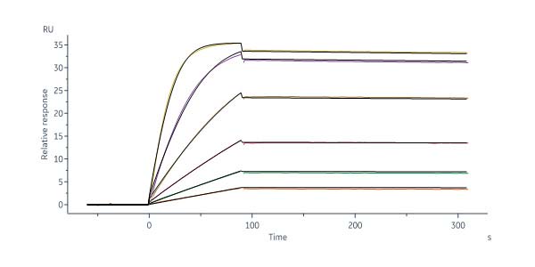 IL-13 SPR