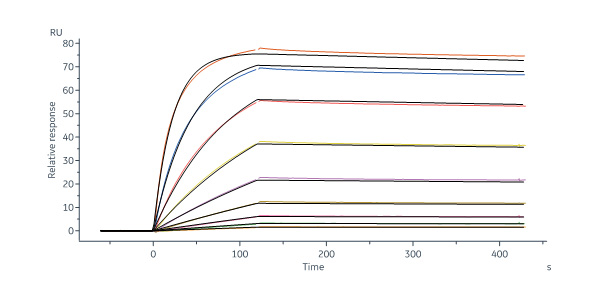 Human IL-15 Protein, His Tag (MALS verified)