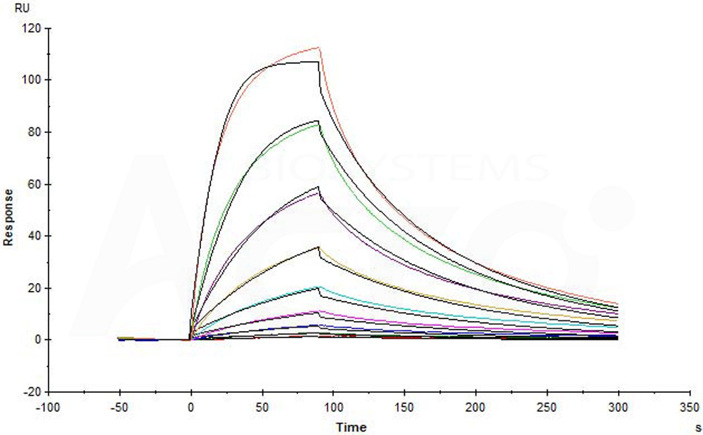 Human IL-3 R alpha / CD123 Protein, Fc Tag (MALS & SPR verified