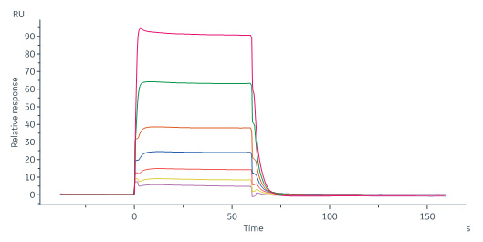 Human IL-20 R alpha Protein, Fc Tag (MALS & SPR verified)