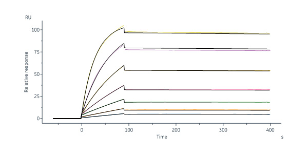 Human IL-17 RA / CD217 Protein, Fc Tag (MALS verified)
