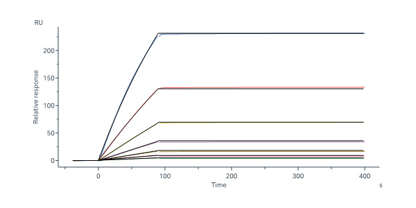 Biotinylated Human IL-15 R alpha / CD215 Protein, Fc,Avitag™ (M
