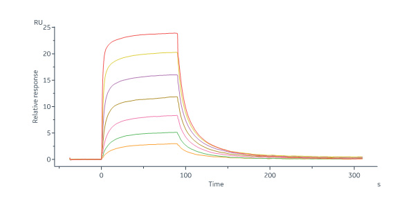 Mouse IL-5 R alpha / CD125 Protein, His Tag (MALS & SPR verifie