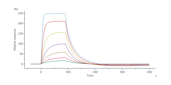 Biotinylated Mouse IL-2 R alpha / CD25 Protein, His,Avitag™ (MA