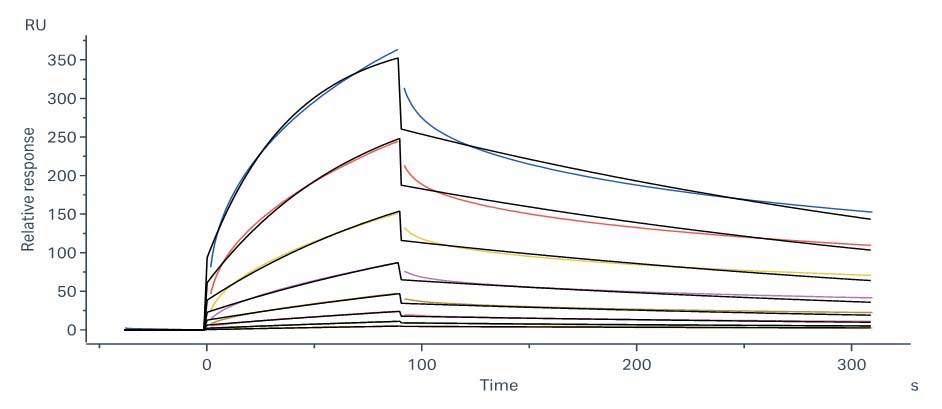 Insulin R SPR