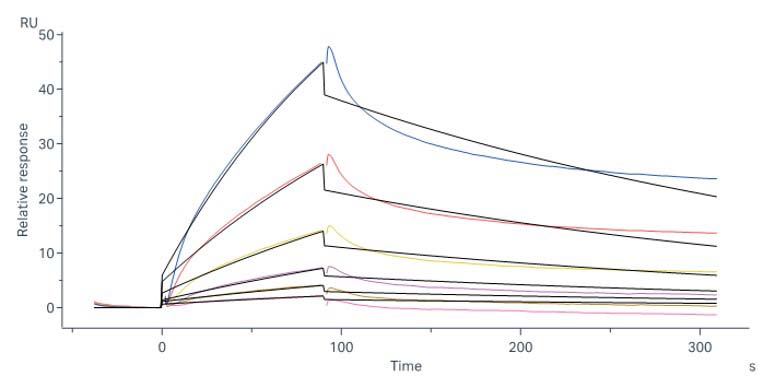 Integrin isoform alpha-7X2B beta 1 SPR