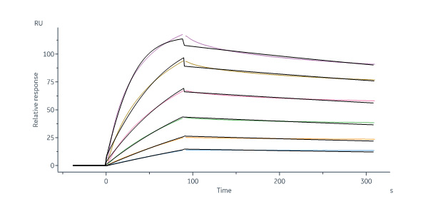 Integrin alpha M beta 2 SPR