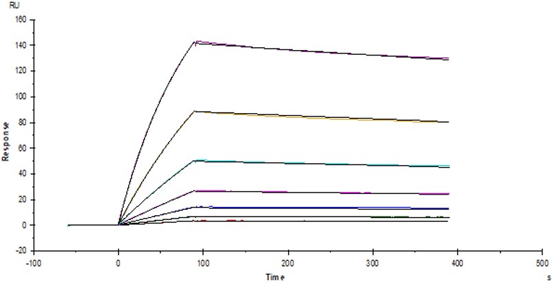 Human Integrin alpha 4 beta 7 (ITGA4&ITGB7) Heterodimer Protein