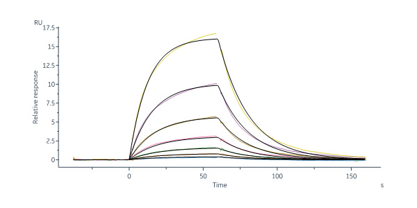Biotinylated Mouse Serum Albumin Protein, His,Avitag™ (MALS & S