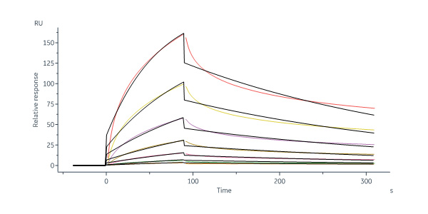 Influenza A [turkey/Germany-MV/R2472/2014(H5N8)] Neuraminidase