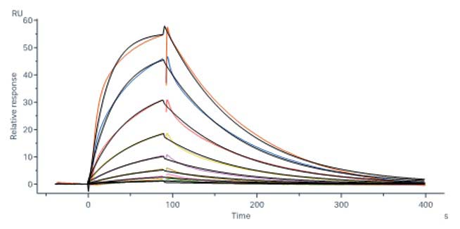 NY-ESO-1 TCR & CD3E & CD3D & CD3G & CD3Z SPR