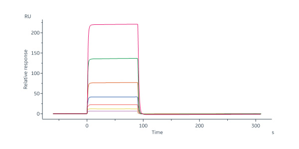 Feline PD-L1 / B7-H1 Protein, Fc Tag (MALS verified)