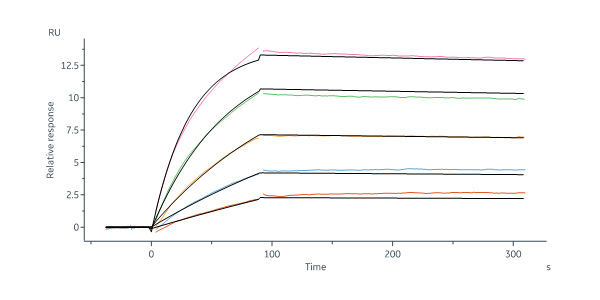 Human PDGF R alpha / PDGFRA Protein, His Tag